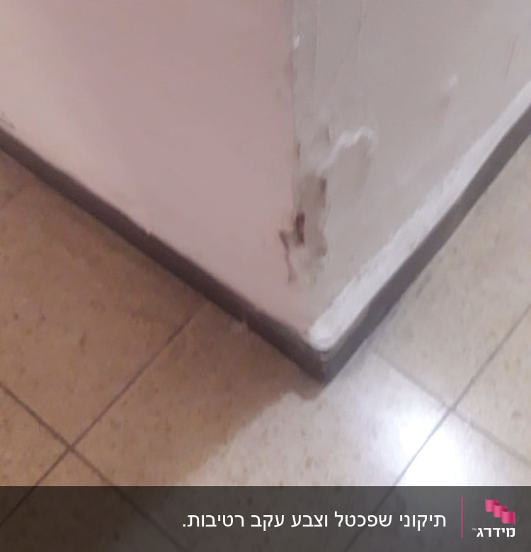 קיר עם קילוף צבע בפינה תחתונה
